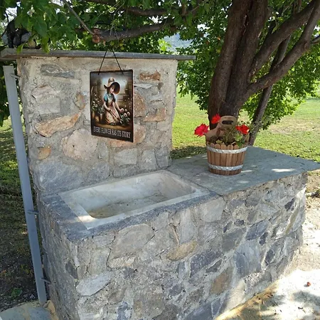 Aggelos Gardenhouse Of *