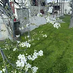 Aggelos Gardenhouse Of * Volos