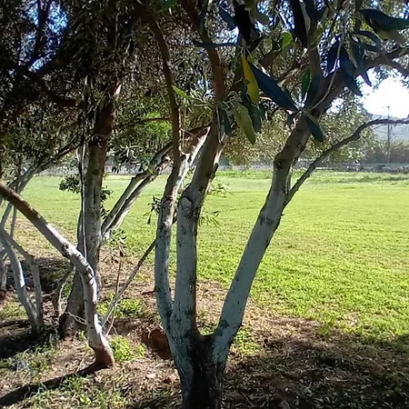 Ferienhaus Aggelos Gardenhouse Of