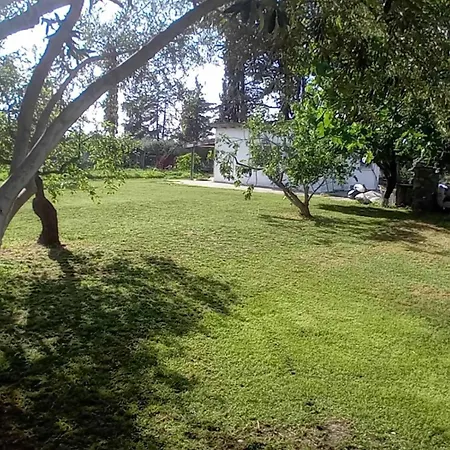 Ferienhaus Aggelos Gardenhouse Of *