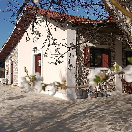 Aggelos Gardenhouse Of Casa vacanze