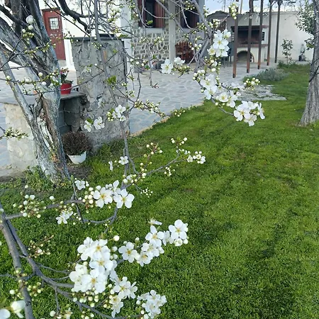 Aggelos Gardenhouse Of * Volos