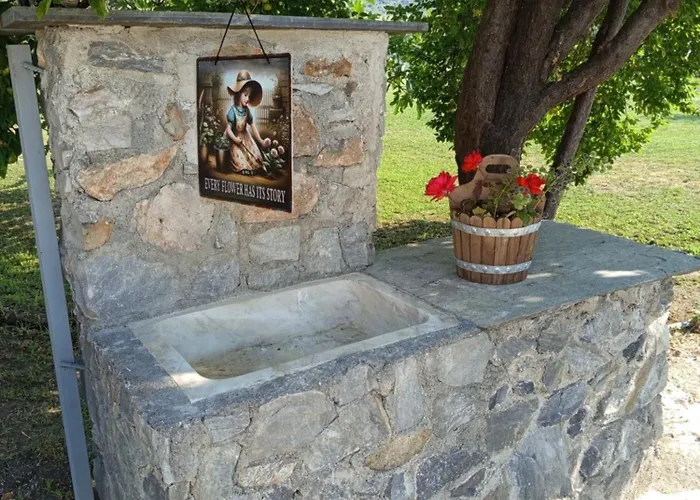 Aggelos Gardenhouse Of *