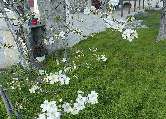 Aggelos Gardenhouse Of * Volos